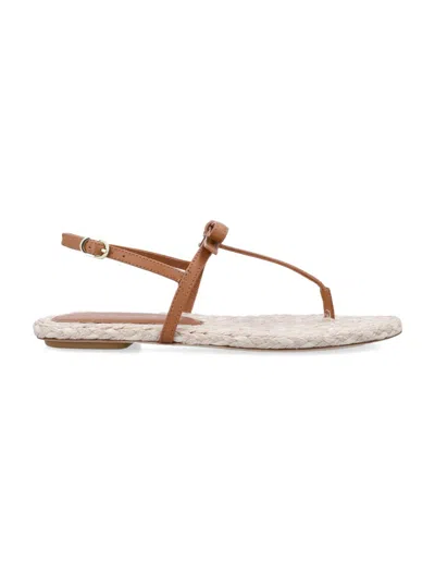 Stuart Weitzman Felicity Espadrillas Thong Sandals In Smooth Leather  Jute/macchiato