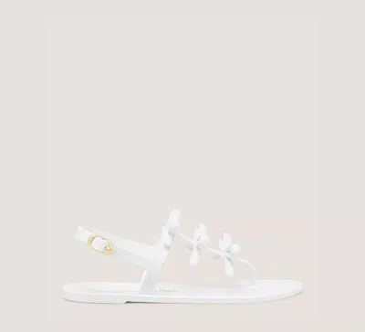 Stuart Weitzman Felicity Multi Jelly