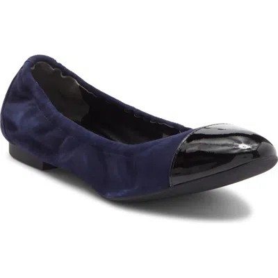 Stuart Weitzman Gabby Ballet Flat In Nice Blue/black