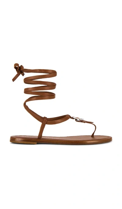 Stuart Weitzman Georgie Lace-up Sandal