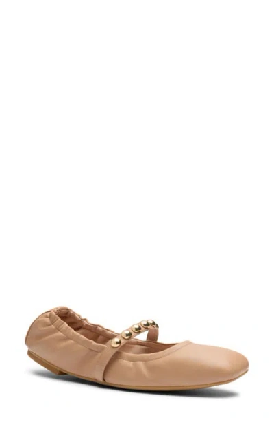 Stuart Weitzman Goldie Stud Ballet Flat In Brown