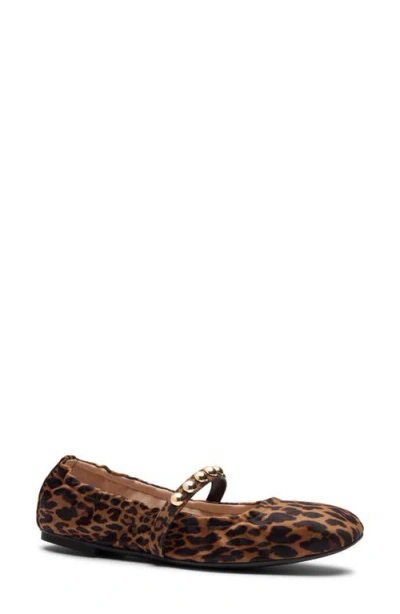 Stuart Weitzman Goldie Stud Ballet Flat In Multi