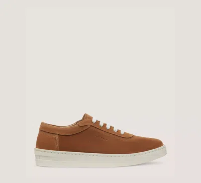 Stuart Weitzman Hamptons Sneaker In Brown