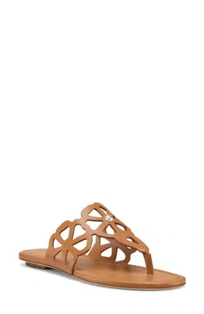 Stuart Weitzman Jasmine Cutout Sandal In Brown