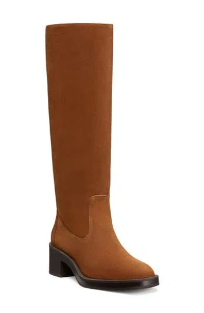 Stuart Weitzman Kaia Knee High Boot In Cappuccino/cream