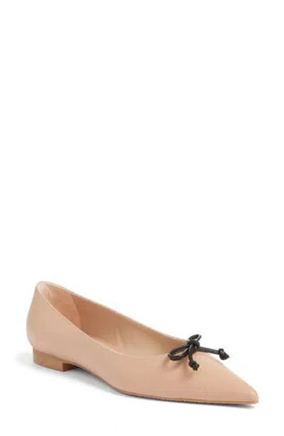 Stuart Weitzman Landon Pointed Toe Ballet Flat In Adobe/blk