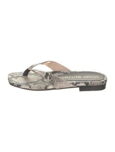 Pre-owned Stuart Weitzman Leather Animal Print In Neutral