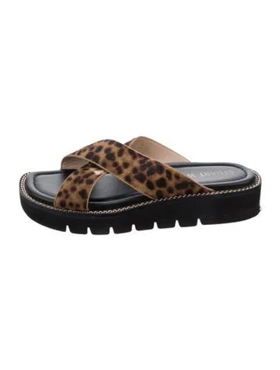 Pre-owned Stuart Weitzman Leather Animal Print Slides In Brown