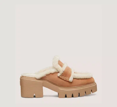 Stuart Weitzman Lennox Suede Shearling Loafer Mules In Camel & Cream