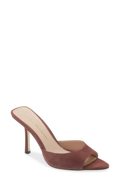 Stuart Weitzman Lexington Mule 85 In Brown