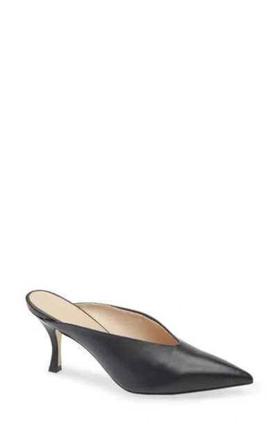 Stuart Weitzman Lula Pointed Toe Pump In Black