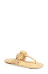Stuart Weitzman Floral Braided Open Toe Flat Sandals In Natural