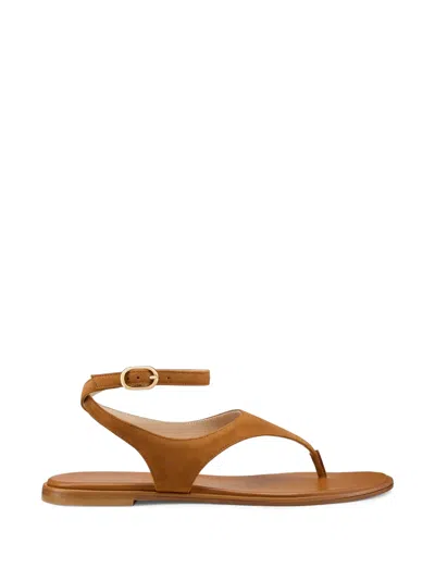 Stuart Weitzman Marley Thong Sandals In Suede Leather In Brown