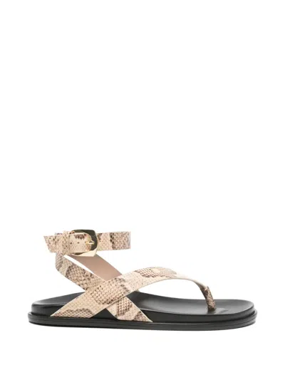 Stuart Weitzman Marykate Buckle Sandals In Black