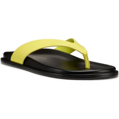Stuart Weitzman Marykate Flip Flop In Multi