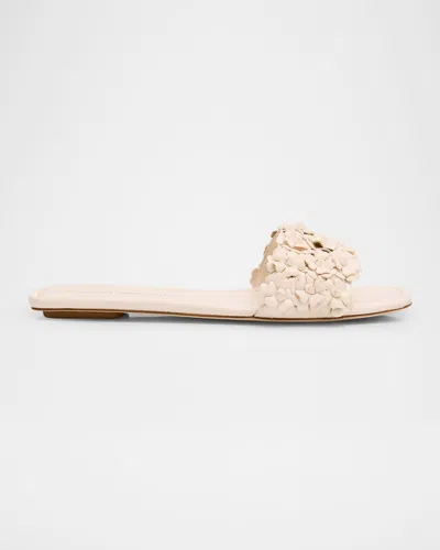 Stuart Weitzman Meadow Flower Leather Slides In Seashell