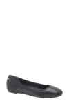 Stuart Weitzman Nadine Ballet Flat In Black