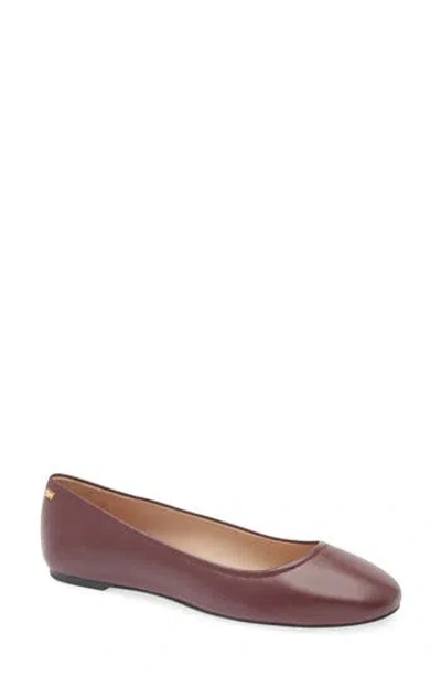 Stuart Weitzman Nadine Ballet Flat In Cabernet