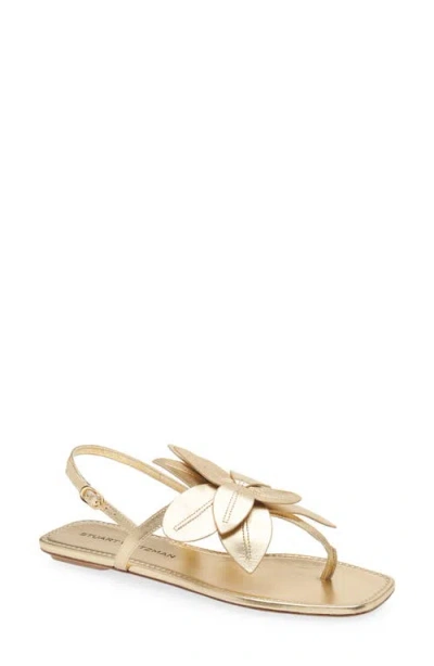 Stuart Weitzman Paradise Slingback Sandal In Golden