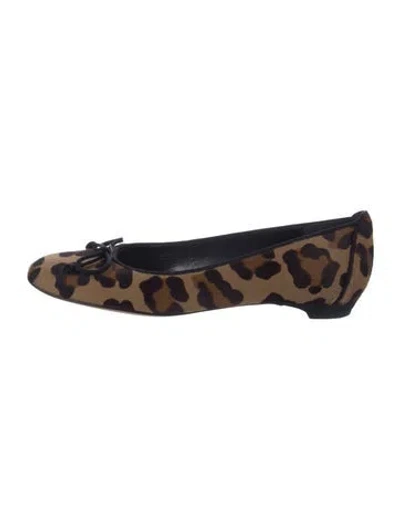 Pre-owned Stuart Weitzman Ponyhair Animal Print Ballet Flats In Blue