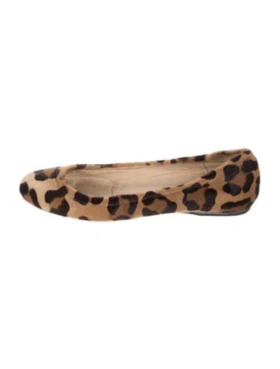 Pre-owned Stuart Weitzman Ponyhair Animal Print Ballet Flats In Brown