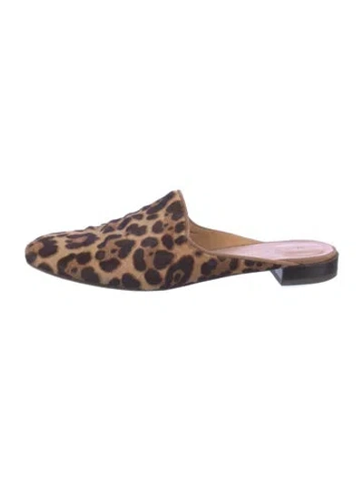 Pre-owned Stuart Weitzman Ponyhair Animal Print Mules In Brown
