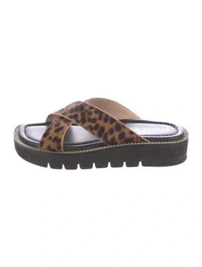 Pre-owned Stuart Weitzman Ponyhair Animal Print Slides In Brown