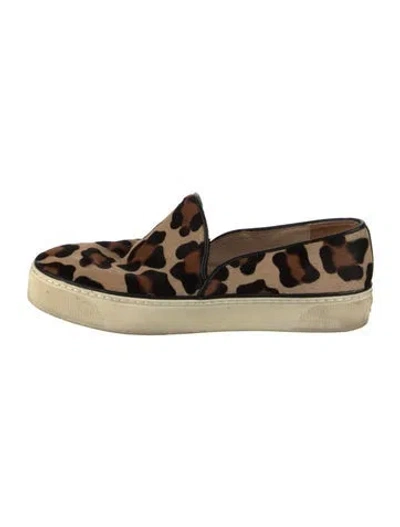 Pre-owned Stuart Weitzman Ponyhair Animal Print Sneakers In Brown
