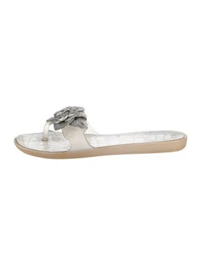 Pre-owned Stuart Weitzman Rubber Floral Print Slides In Silver