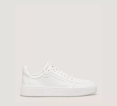 Stuart Weitzman Ryan Low-top Sneaker The Sw Outlet In White