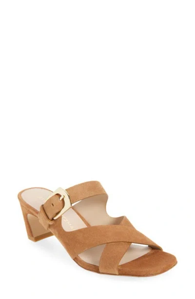 Stuart Weitzman Sai Slide 50 In Brown