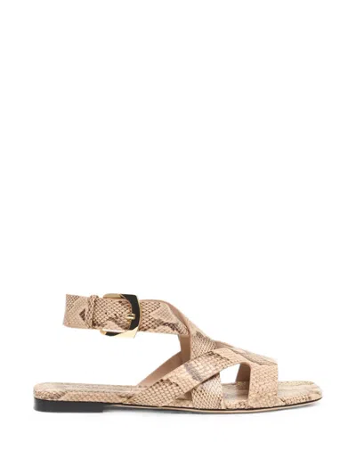 Stuart Weitzman Snake-effect Square-toe Sandals In Brown