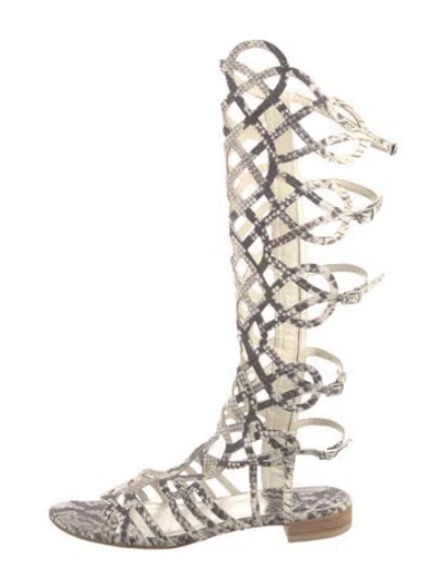Pre-owned Stuart Weitzman Snakeskin Animal Print Gladiator Sandals In Multi