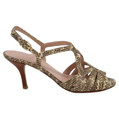 Pre-owned Stuart Weitzman Snakeskin Print High Heel Sandals In Multicolor Leather In Brown