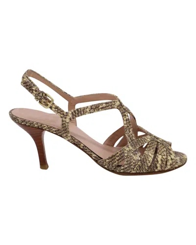 Pre-owned Stuart Weitzman Snakeskin Print High Heel Sandals In Multicolor Leather In Grey