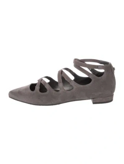 Pre-owned Stuart Weitzman Suede Ballet Flats In Gray