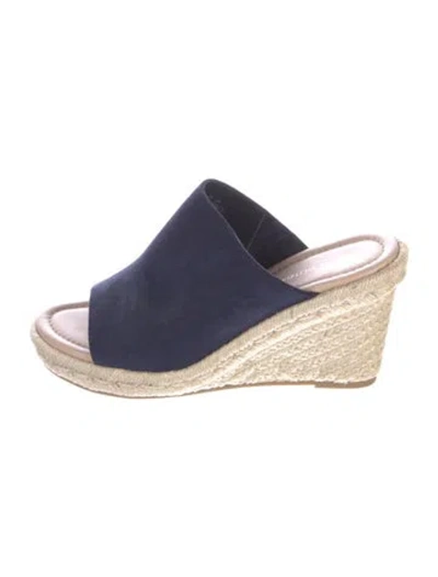 Pre-owned Stuart Weitzman Suede Braided Accents Espadrilles In Blue