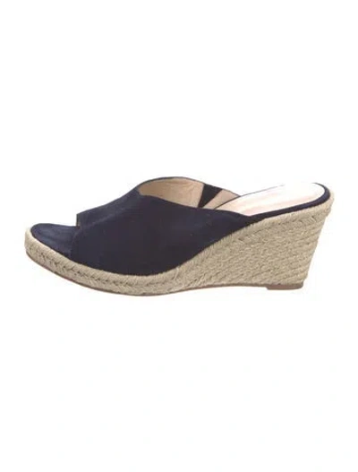 Pre-owned Stuart Weitzman Suede Espadrilles In Blue