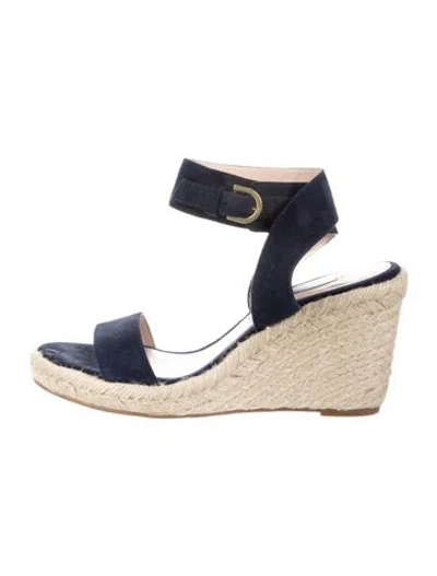 Pre-owned Stuart Weitzman Suede Espadrilles In Blue
