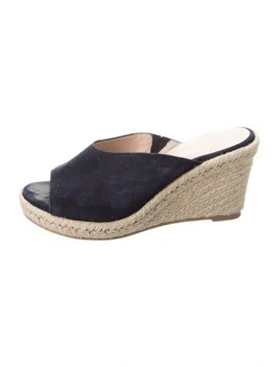 Pre-owned Stuart Weitzman Suede Espadrilles In Blue