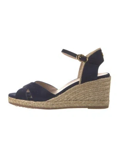 Pre-owned Stuart Weitzman Suede Espadrilles In Blue