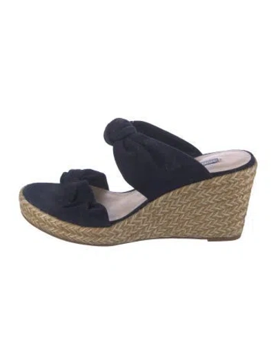 Pre-owned Stuart Weitzman Suede Espadrilles In Blue/neutrals