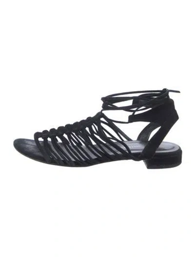 Pre-owned Stuart Weitzman Suede Floral Print Gladiator Sandals In Black