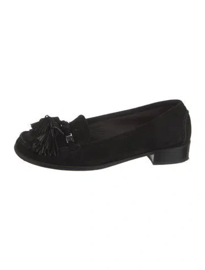 Pre-owned Stuart Weitzman Suede Floral Print Pumps In Black