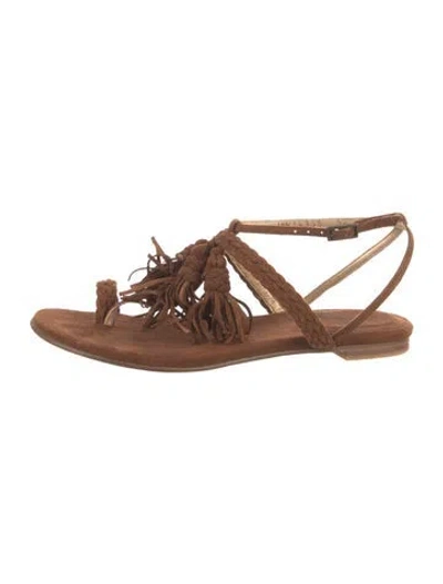 Pre-owned Stuart Weitzman Suede Gladiator Sandals In Brown