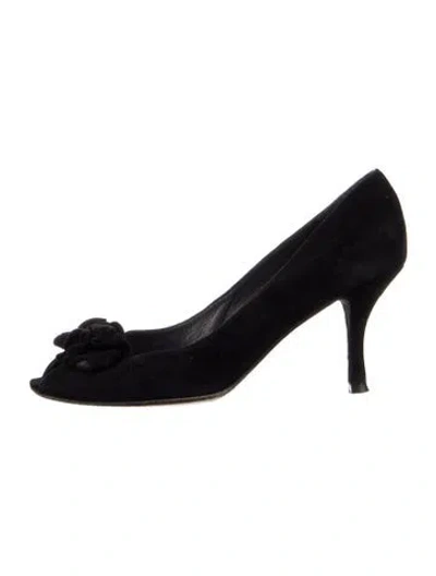 Pre-owned Stuart Weitzman Suede Pumps In Blue