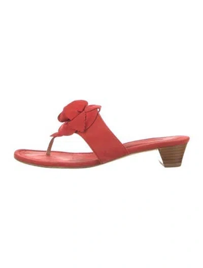 Pre-owned Stuart Weitzman Suede Slides In Neutral