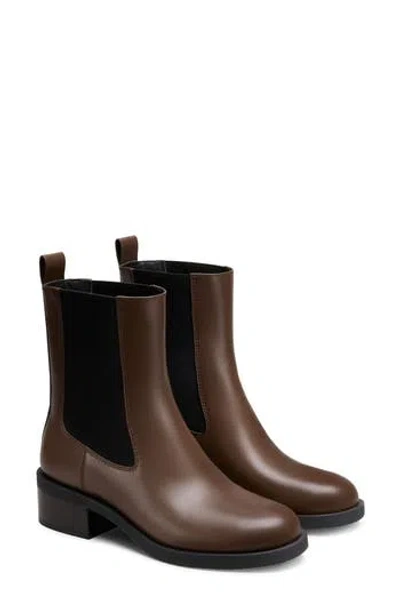Stuart Weitzman Sully Chelsea Boot In Brown