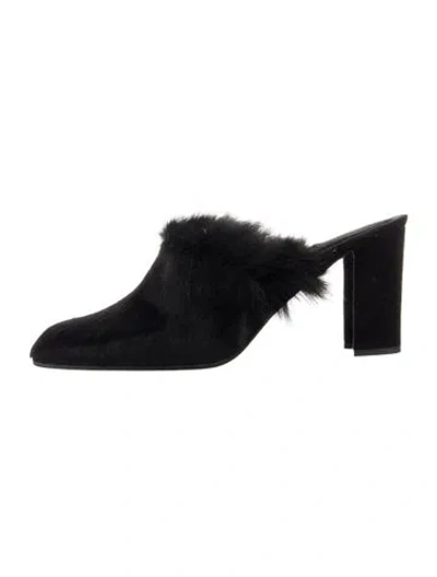 Pre-owned Stuart Weitzman Velvet Mules W/ Tags In Blue