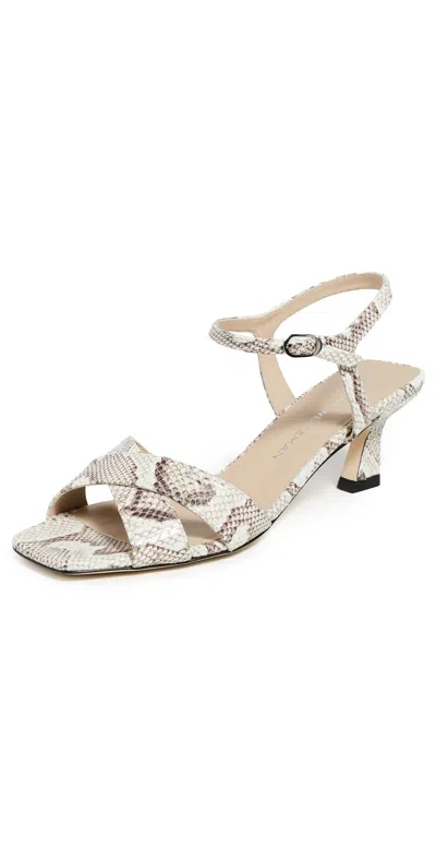 Stuart Weitzman Vinnie Sandal 50 In Animal Print